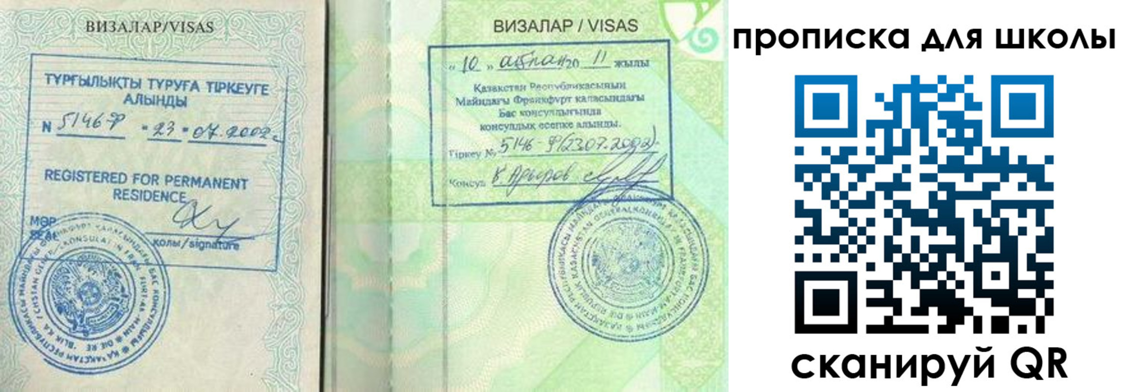 временная регистрация поиск в Электростали